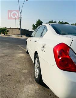 رينو سافران